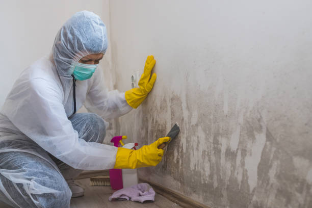 Water damage restoration mold remediation in Village Of Oak Creek, AZ